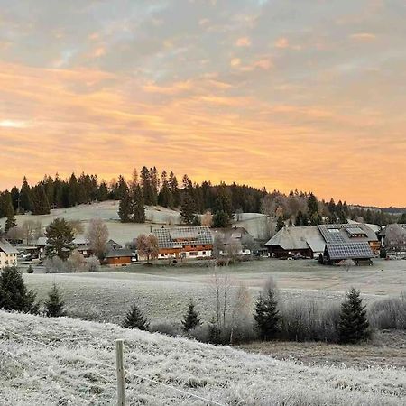 Helle Gemuetliche Ferienwohnung In Schwarzwaldhof Ibach Zewnętrze zdjęcie