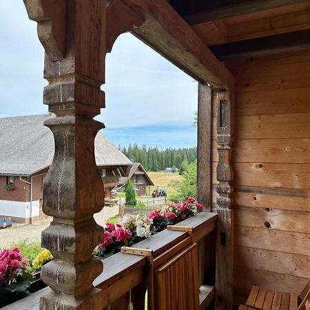 Helle Gemuetliche Ferienwohnung In Schwarzwaldhof Ibach Zewnętrze zdjęcie