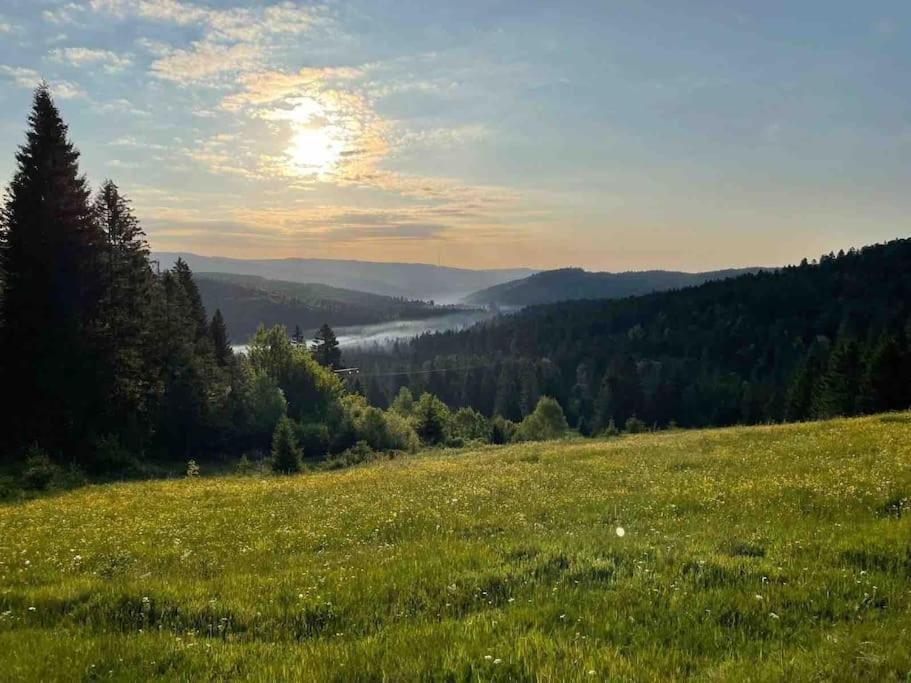 Helle Gemuetliche Ferienwohnung In Schwarzwaldhof Ibach Zewnętrze zdjęcie