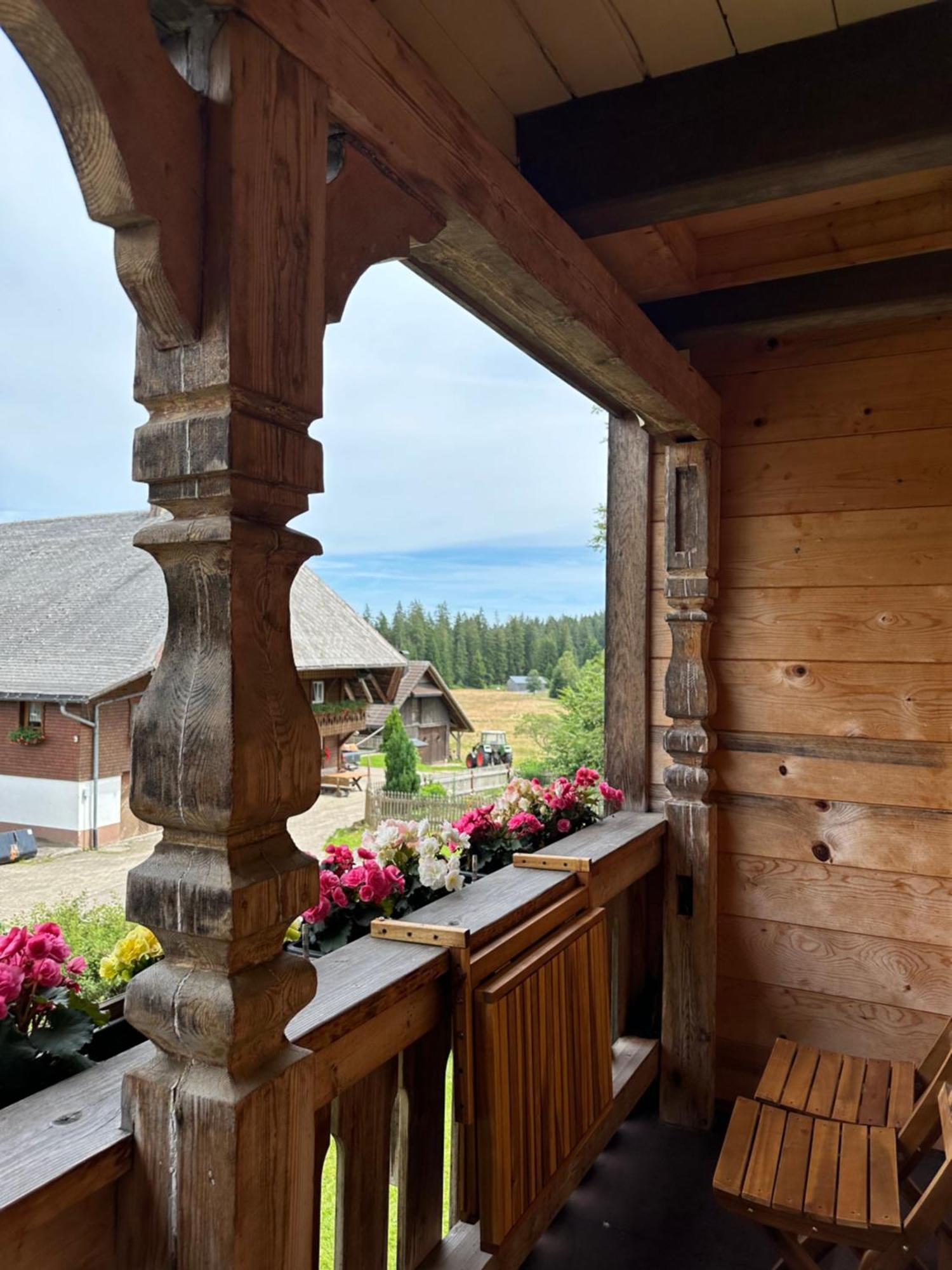 Helle Gemuetliche Ferienwohnung In Schwarzwaldhof Ibach Zewnętrze zdjęcie